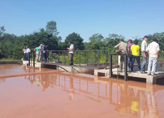 En Colonia Santa Rosa aumentó la superficie sembrada por una obra de riego