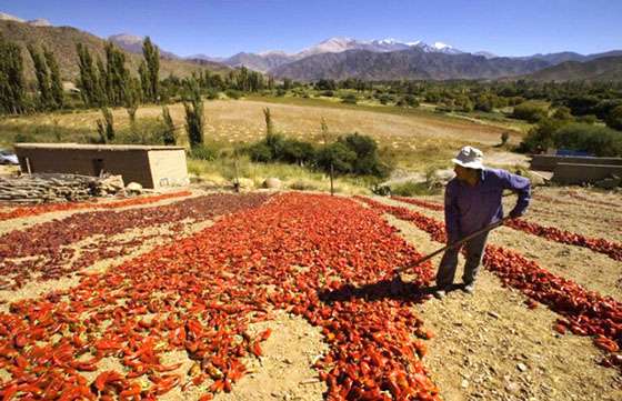 Más de $1.700.000 serán destinados a mejorar la producción agropecuaria y vitivinícola en Cachi