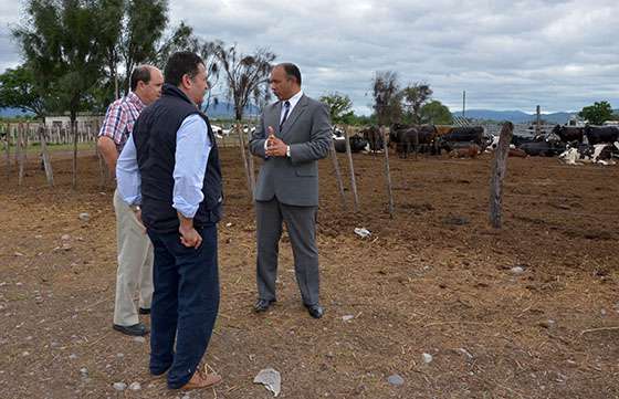 Salta y Antofagasta profundizan la cooperación mutua en el área educativa