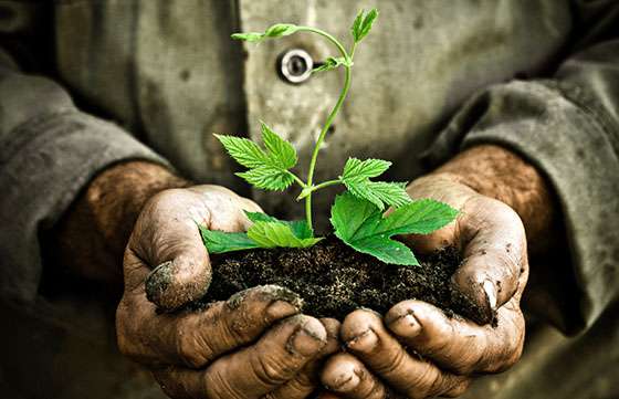 Finalizan las actividades en el marco de la Semana del Ambiente