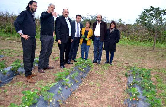 Inauguraron diversas obras de infraestructura en Tartagal