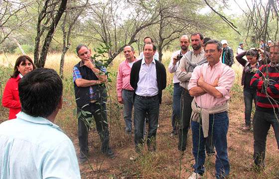 Nueva jornada en la implementación de planes de manejo de bosques con ganadería integrada