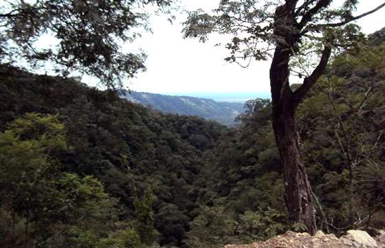 Promueven actividades sustentables en áreas protegidas de Tartagal