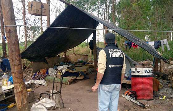Suspendieron actividades madereras en Orán por condiciones de trabajo infrahumanas