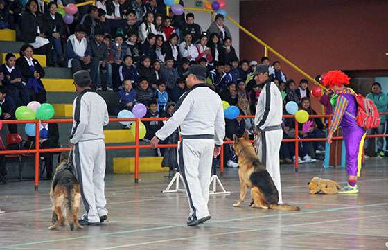 Más de 600 chicos participaron del cierre del programa de Seguridad Mano a Mano