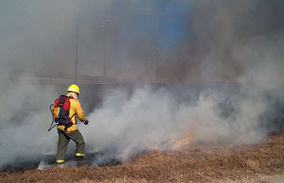 Más de 200 hectáreas afectadas por el fuego en toda la provincia en los últimos meses