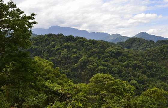 Analizan el emplazamiento de un centro de interpretación de las Yungas