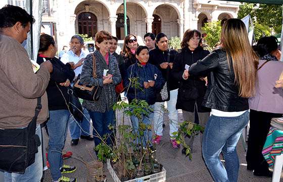 La IV edición de la Semana del Árbol se desarrolla con numerosas actividades