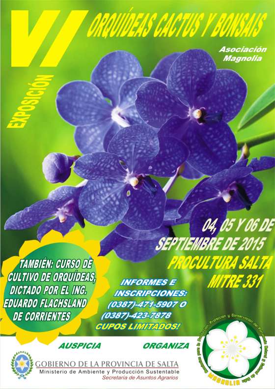 Del 4 al 6 de septiembre se desarrollará la VI Exposición de Orquídeas, Cactus y Bonsais