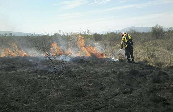 Defensa Civil colaboró en la extinción de focos ígneos