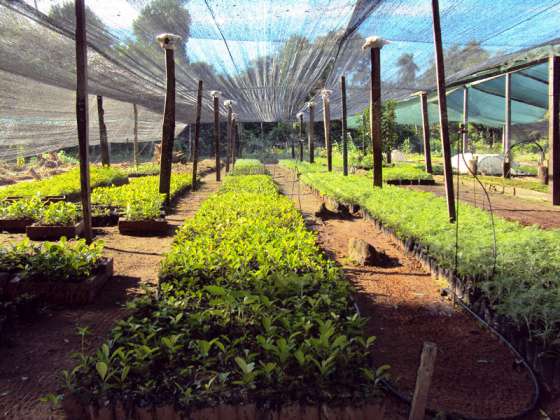 Coordinan el inicio de obra del Vivero Forestal Modelo en Orán