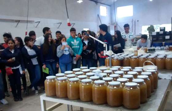 Jóvenes de Tartagal visitaron emprendimientos familiares de la región