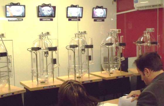 Casi 13 mil adjudicatarios participarán hoy en el sorteo “Cumplís y Ganás”