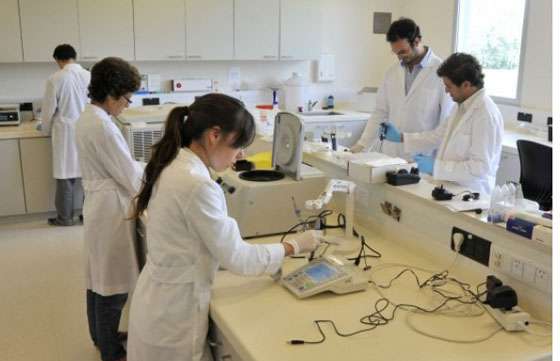 Salta recibirá más de $28 millones en subsidios para innovación tecnológica regional