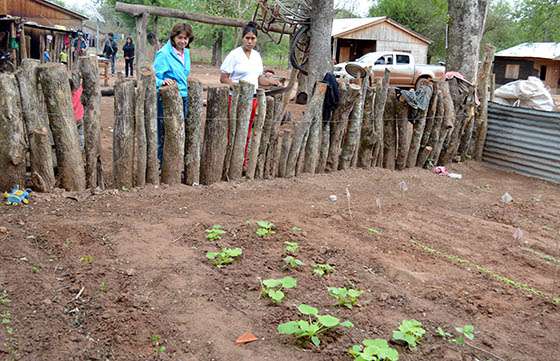 Los ganadores del concurso Jóvenes en Acción crean una huerta orgánica para familias de Tonono