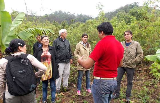 Instalarán un centro de interpretación de las yungas en Aguas Blancas
