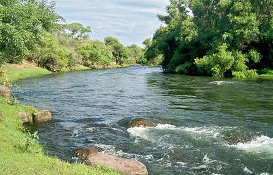 Se inicia hoy la veda para la pesca deportiva en los ríos Juramento y Medina
