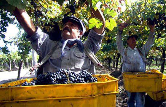 Homologaron convenio de corresponsabilidad gremial para el sector vitivinícola