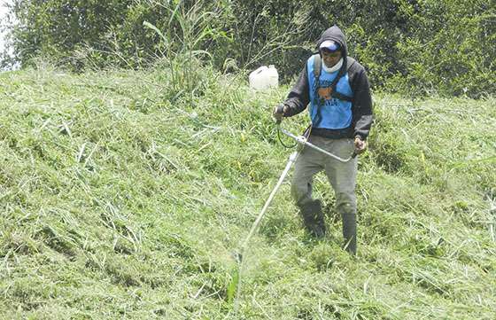 Cooperativas desmalezan espacios públicos en Rosario de Lerma y en Capital