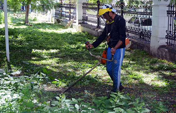 Se realizan trabajos de limpieza y desmalezado en escuelas de Capital