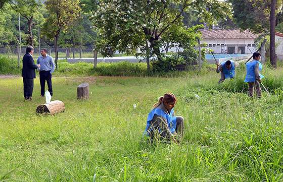 Se acondicionan escuelas en el área metropolitana