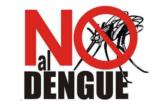 Salud Pública no realiza fumigaciones domiciliarias