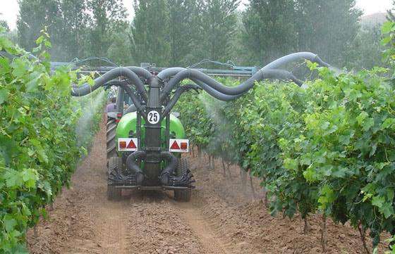 Analizaron la situación fitosanitaria del sector citrícola en Salta