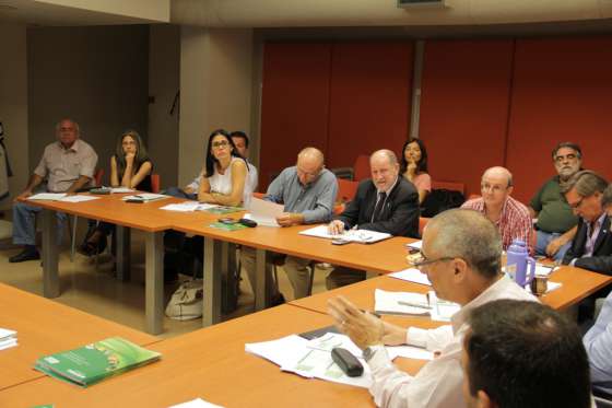 Implementarán medidas para prevenir una plaga de los cítricos