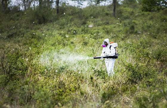 Destacan los avances de Salta en el control de plagas del agro