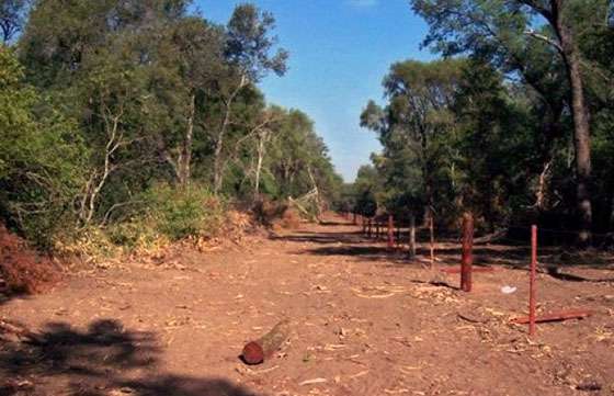El Gobierno revocó la adjudicación de una matrícula del Lote Fiscal 37 de Tolloche