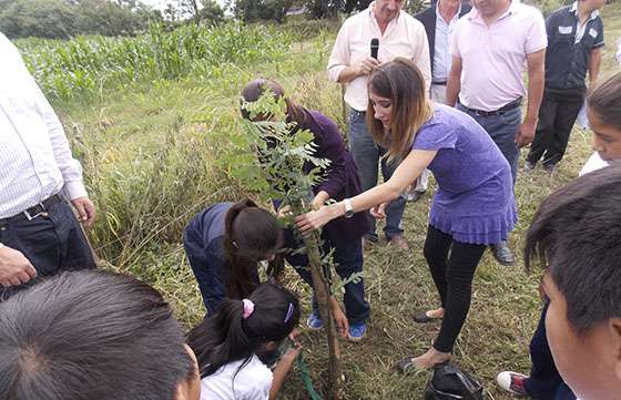 Comenzó en Chicoana el Plan Provincial de Forestación