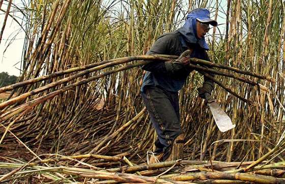 Comenzó el operativo de pago del programa de Interzafra