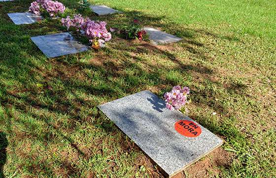 Defensa del Consumidor ordenó retirar cartelería indigna de un cementerio