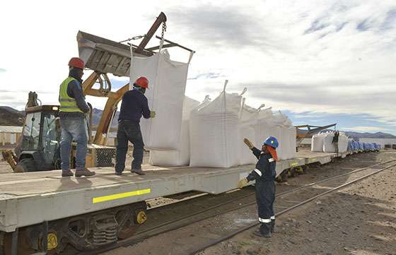 El Ferrocarril Belgrano Cargas volvió a operar con exportaciones hacia Chile