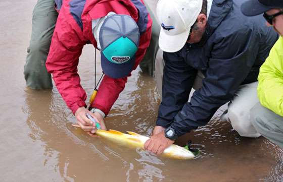La Provincia formó a profesionales de Ambiente en recursos pesqueros