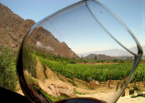 Bodegas salteñas participarán en una misión comercial a Estados Unidos y Canadá 