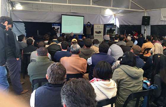 El Gobierno provincial promueve el desarrollo de la actividad ganadera