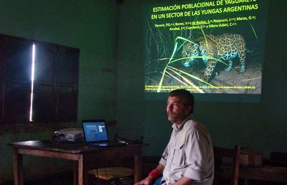 Salta desarrolla estrategias para la conservación del yaguareté