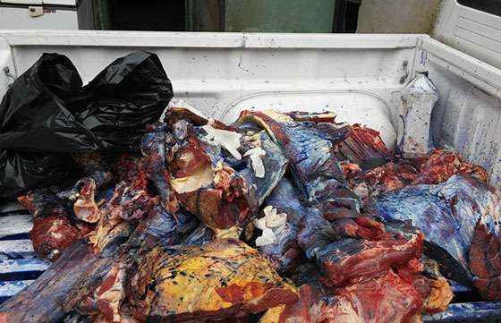 El Registro de Operadores decomisó carne no apta para consumo humano