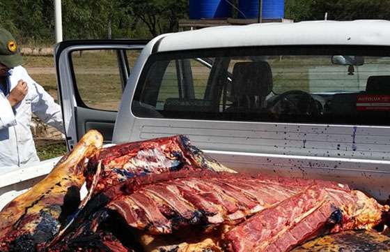 En abril fueron decomisados más de 1.700 kilos de carne producto de la faena clandestina
