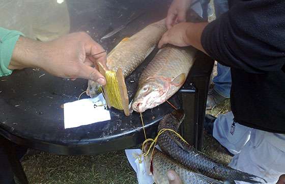 Fiscalizan concursos de pesca deportiva
