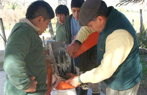 La Escuela Agrícola fue premiada por la empresa Nidera
