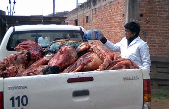 El Registro de Operadores decomisó carne porcina en mal estado en Metán