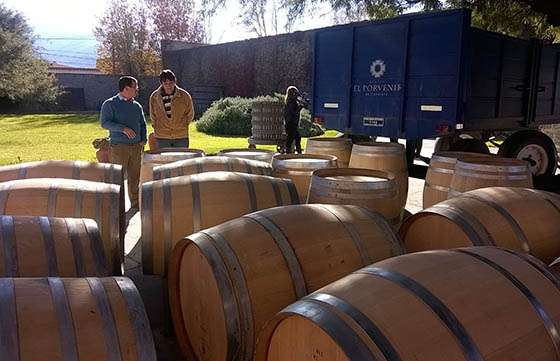 El Gobierno promueve el posicionamiento de vinos salteños de altura en la provincia