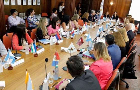 Salta participa en la reunión del Consejo Federal de Niñez, Adolescencia y Familia