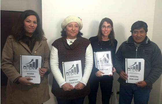Empresas y emprendedores participan de un programa de asistencia profesional