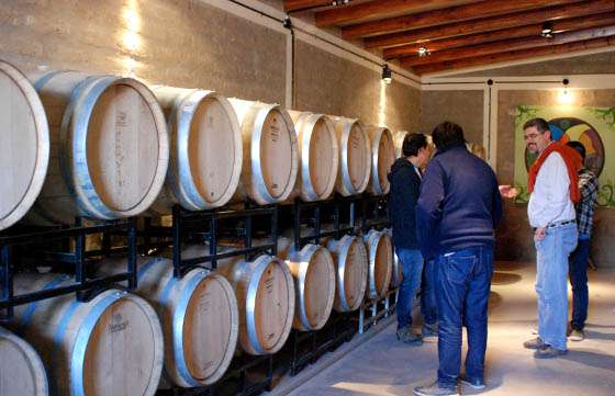 Periodistas salteños conocieron detalles de la producción de vino en el Alto Valle Calchaquí