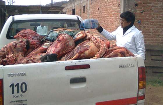 Realizaron nuevos decomisos de carne proveniente de faena clandestina