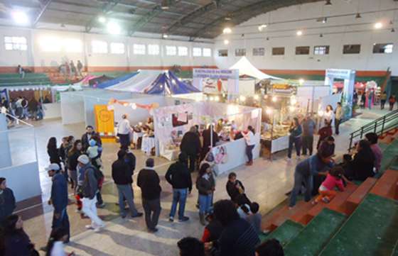Lanzarán hoy una nueva edición de la Expo Mosconi