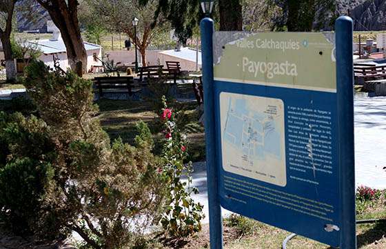 Proyecto de Ambiente elegido entre los mejores de Argentina